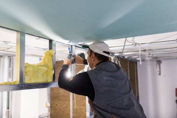Best Geographic-Specific Insulation Services in Brawley, CA