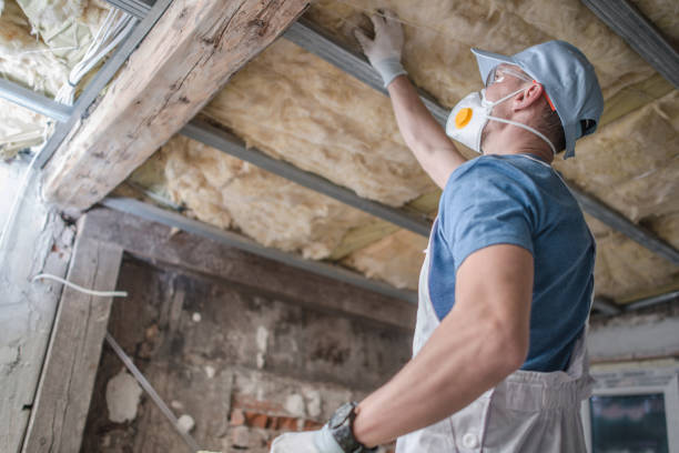 Best Eco-Friendly Insulation in Brawley, CA